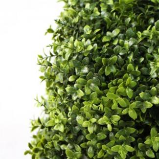 What are the best trees to use for topiary?
